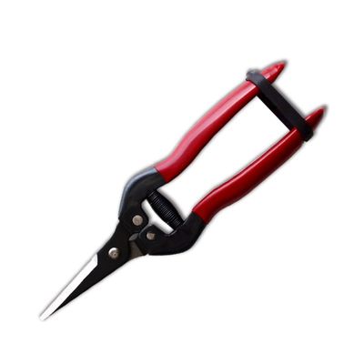 satın al SINSEUNG X3 Blade Tiplerindeki Alkali Siyah Boya Kaplamalı Donanım Makasları Çevrimiçi üretim