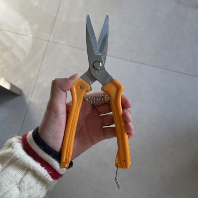 Çeşitli kesme görevleri için keskin çok fonksiyonel turuncu sapı makasları