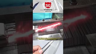 260109 1 SINSEUNG VİDEO